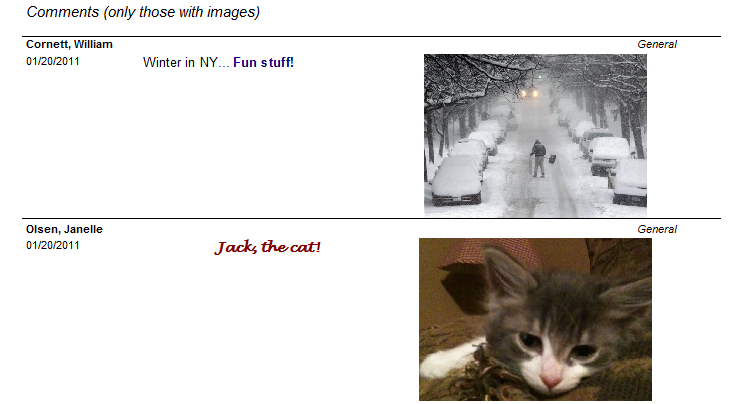 Sample Comments With Images Report